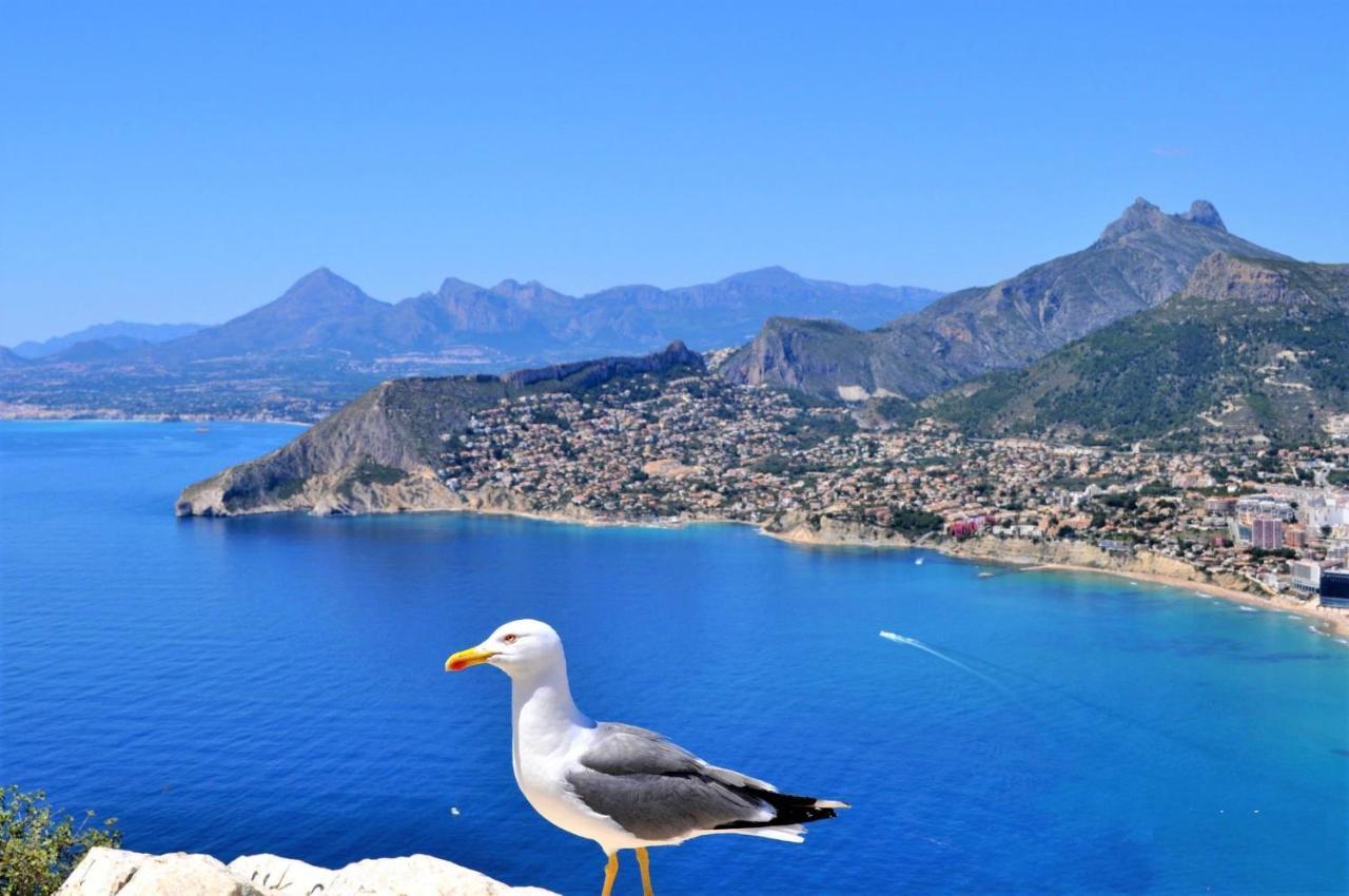 Amuchosol Villa Calpe Eksteriør billede